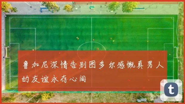 鲁加尼深情告别图多尔感慨真男人的友谊永存心间