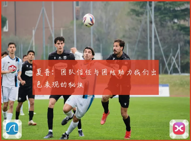 夏普：团队信任与团结助力我们出色表现的秘诀