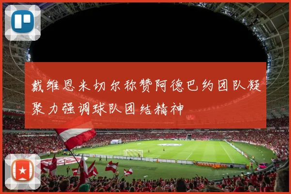戴维恩米切尔称赞阿德巴约团队凝聚力强调球队团结精神