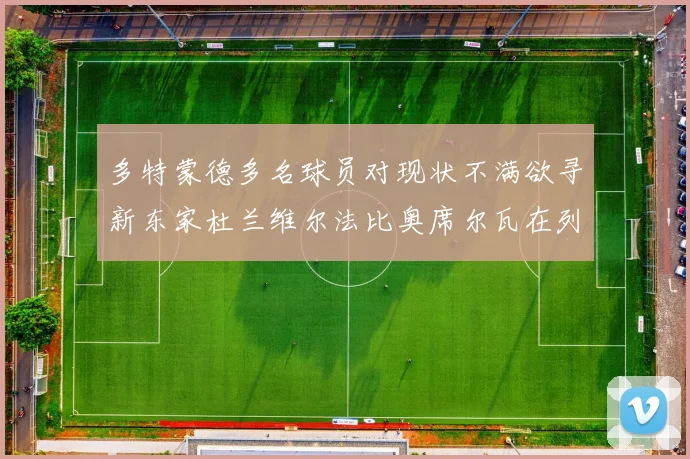 多特蒙德多名球员对现状不满欲寻新东家杜兰维尔法比奥席尔瓦在列