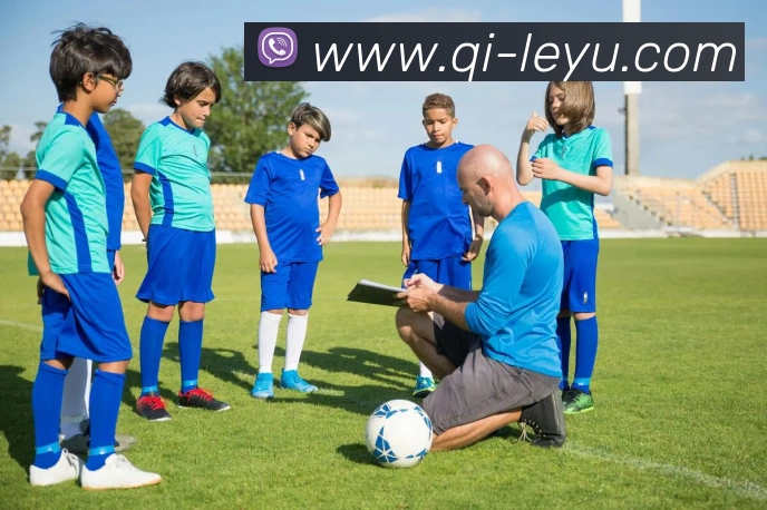 App Interface Preview